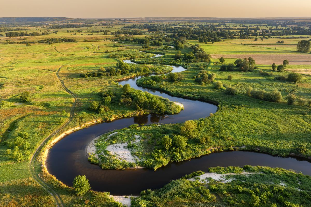 Święty Krzyż (Łysa Góra)